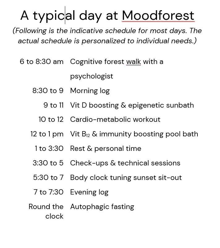 A typical day schedule roadmap at Moodforest
